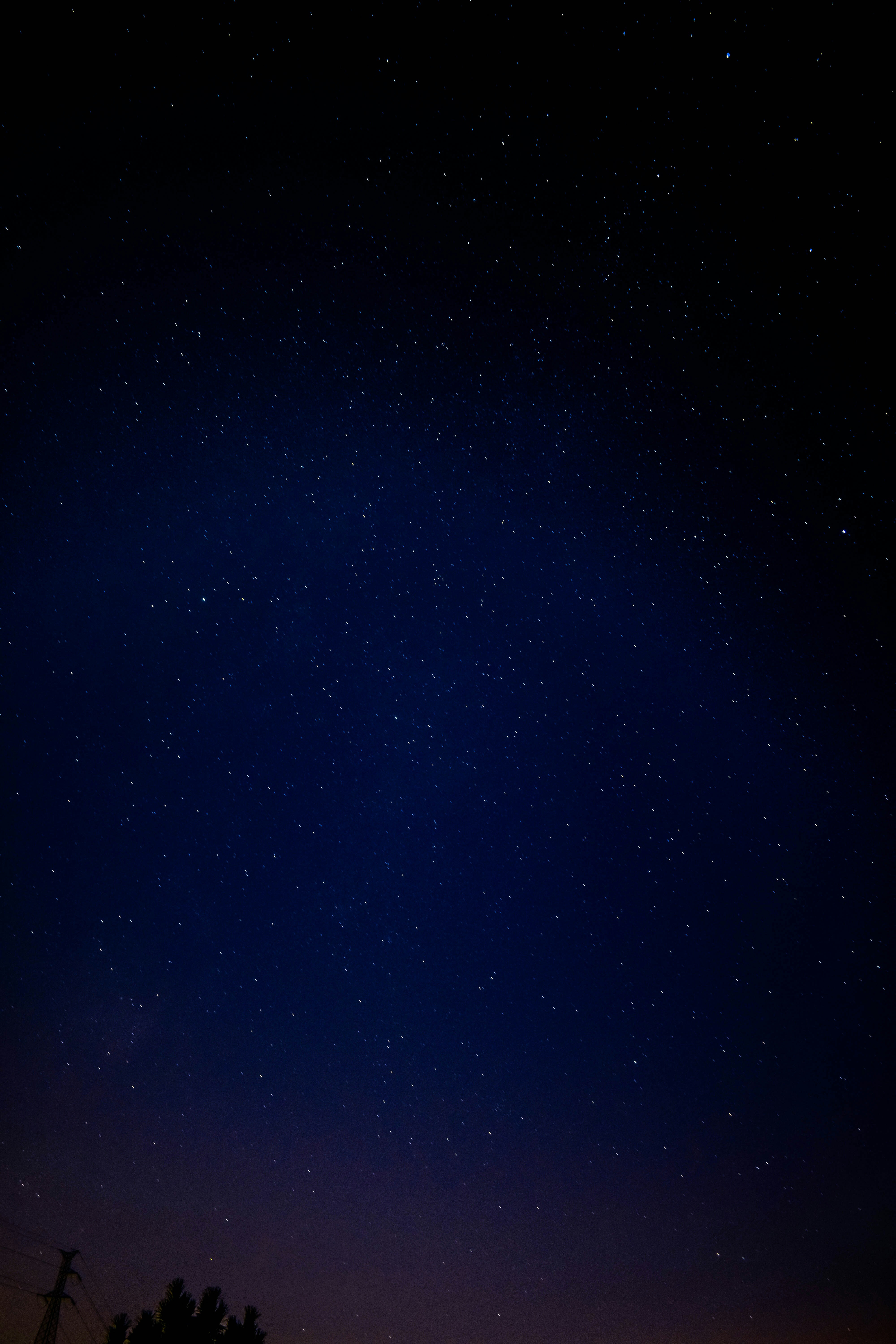 stars in the sky
