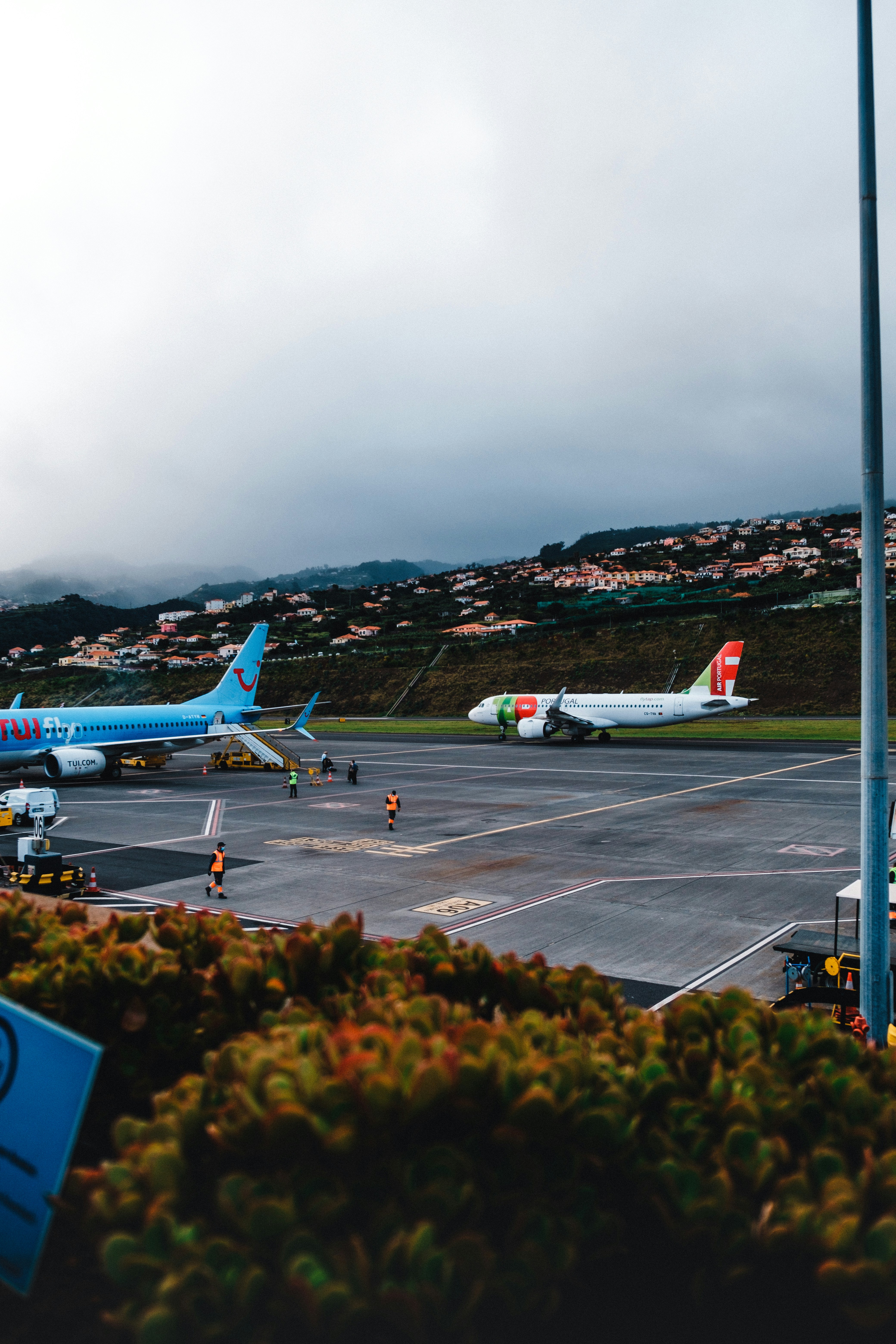 昼間の空港で黄色と白の旅客機の写真 Unsplashで見つけるマデイラ諸島の無料写真