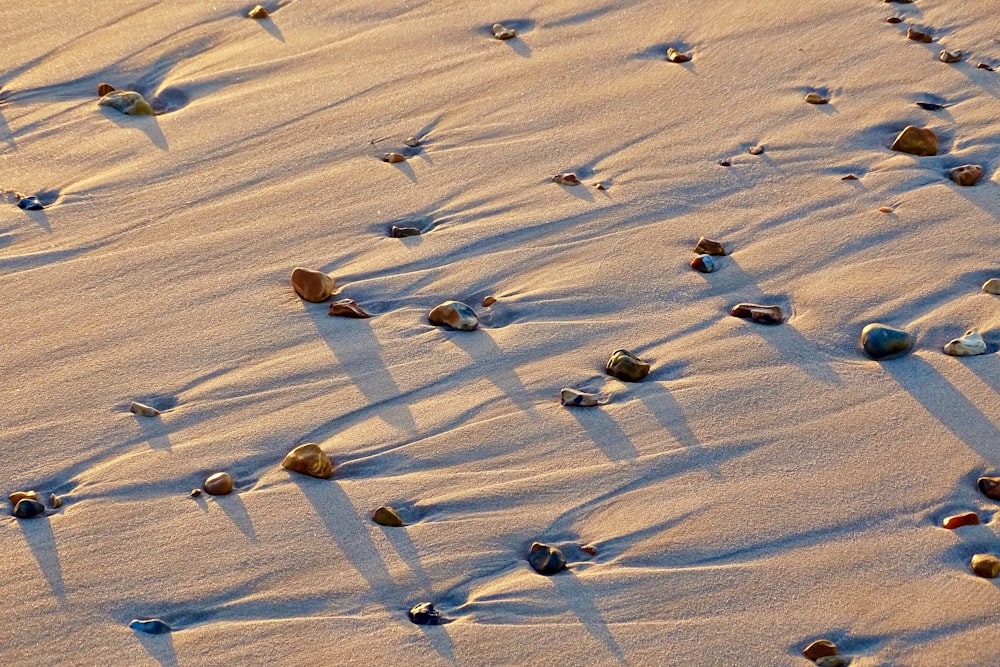 people walking on sand during daytime