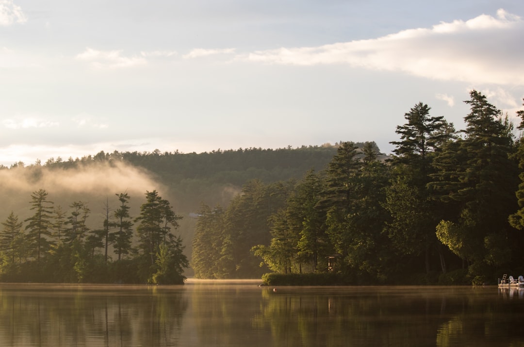 green trees beside lake under white clouds during daytime