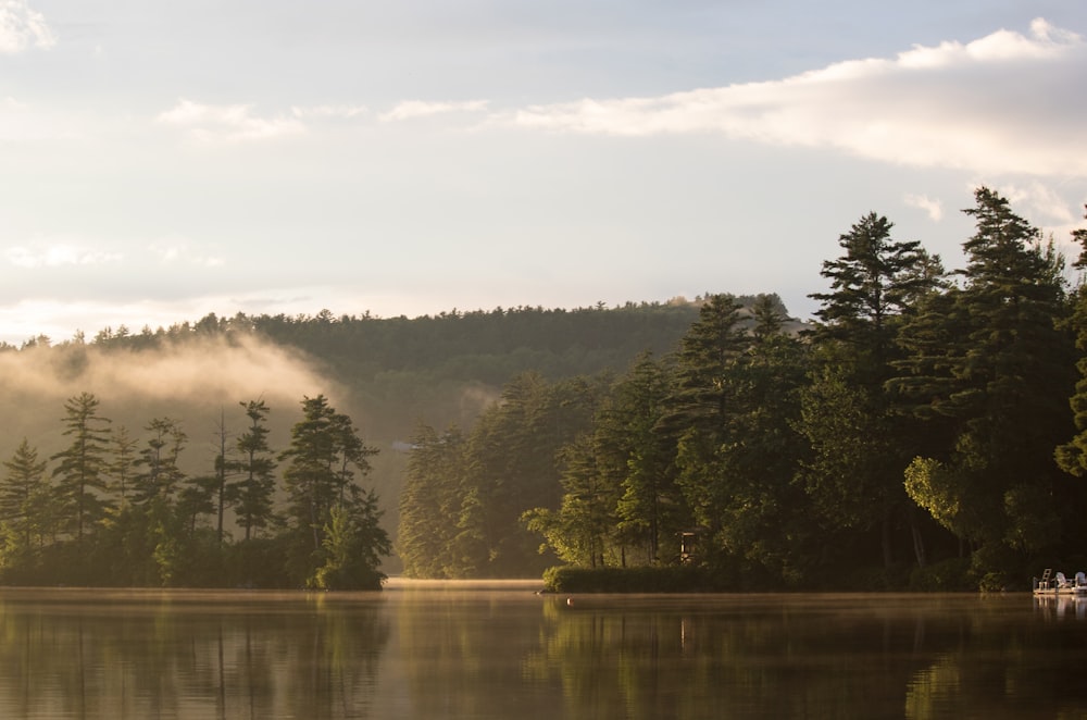 green trees beside lake under white clouds during daytime