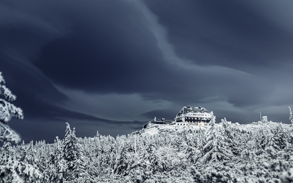 grayscale photo of snow covered trees and house