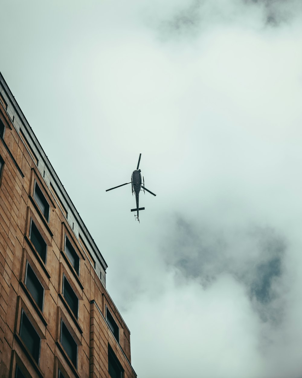 black bird flying over brown concrete building during daytime