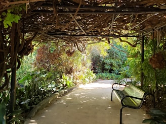 A quiet nook framed by flowering vines inviting visitors to pause and reflect