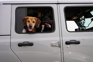 brown and black short coated dog in gray car window