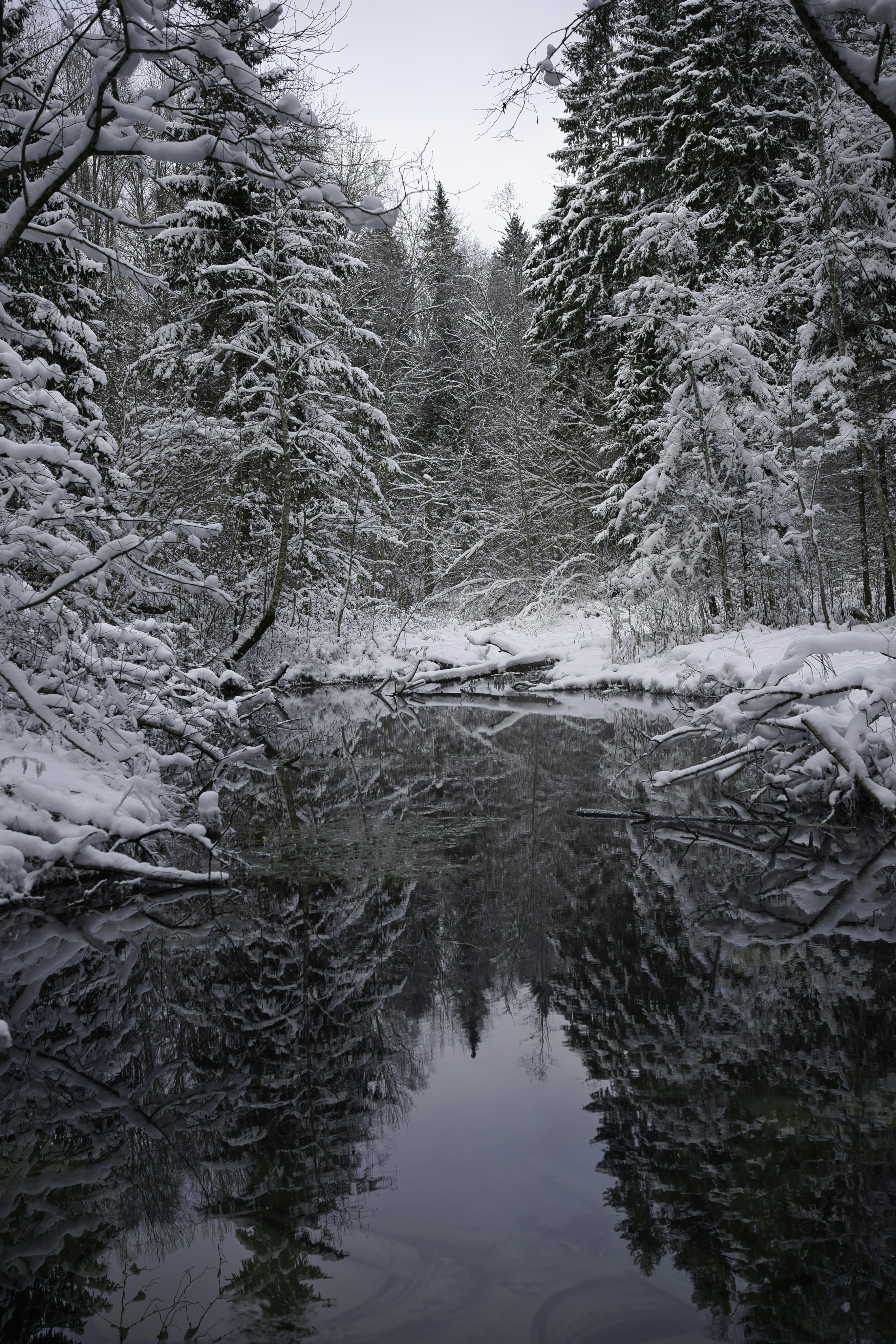 Photo by maksimshutov