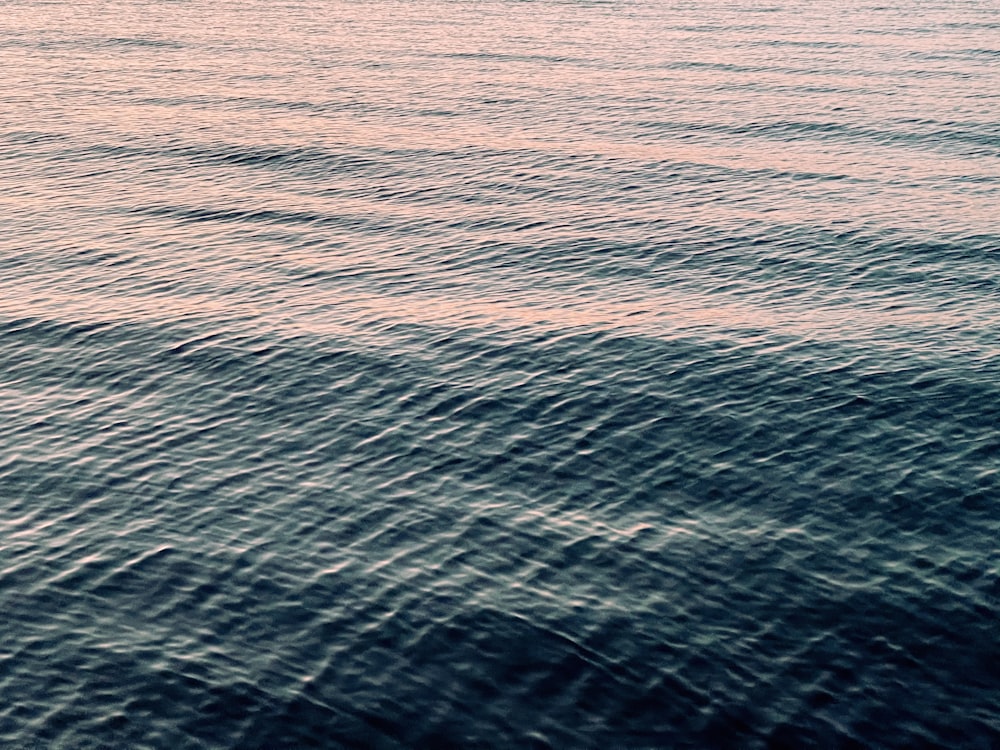 specchio d'acqua durante il giorno