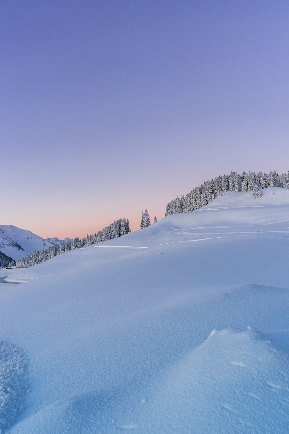 snow covered field and trees under blue sky during daytime