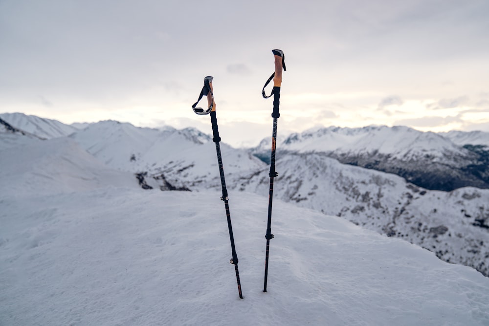 black and brown walking stick on snow covered ground during daytime