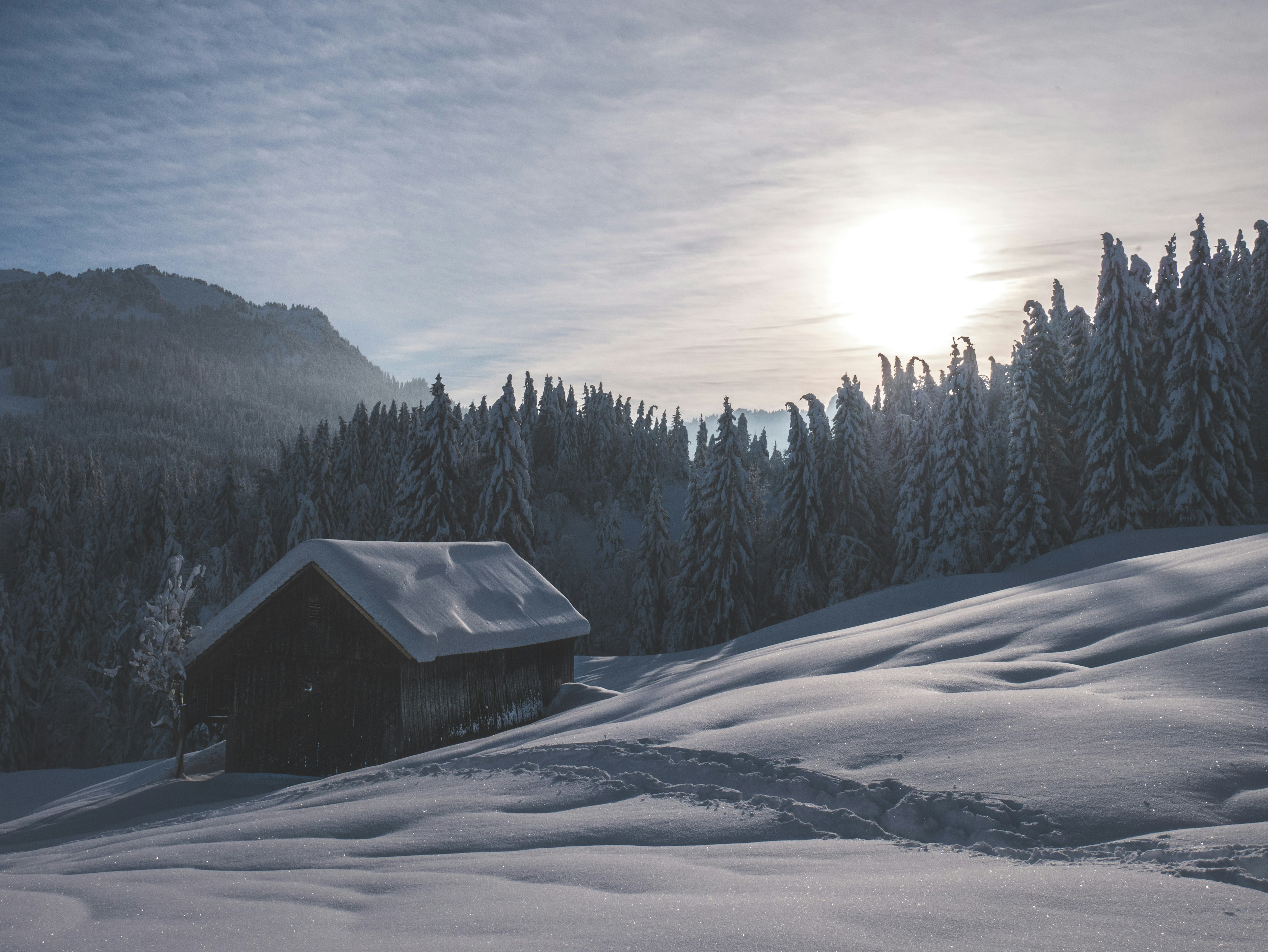 Photo by matthiasspeicher