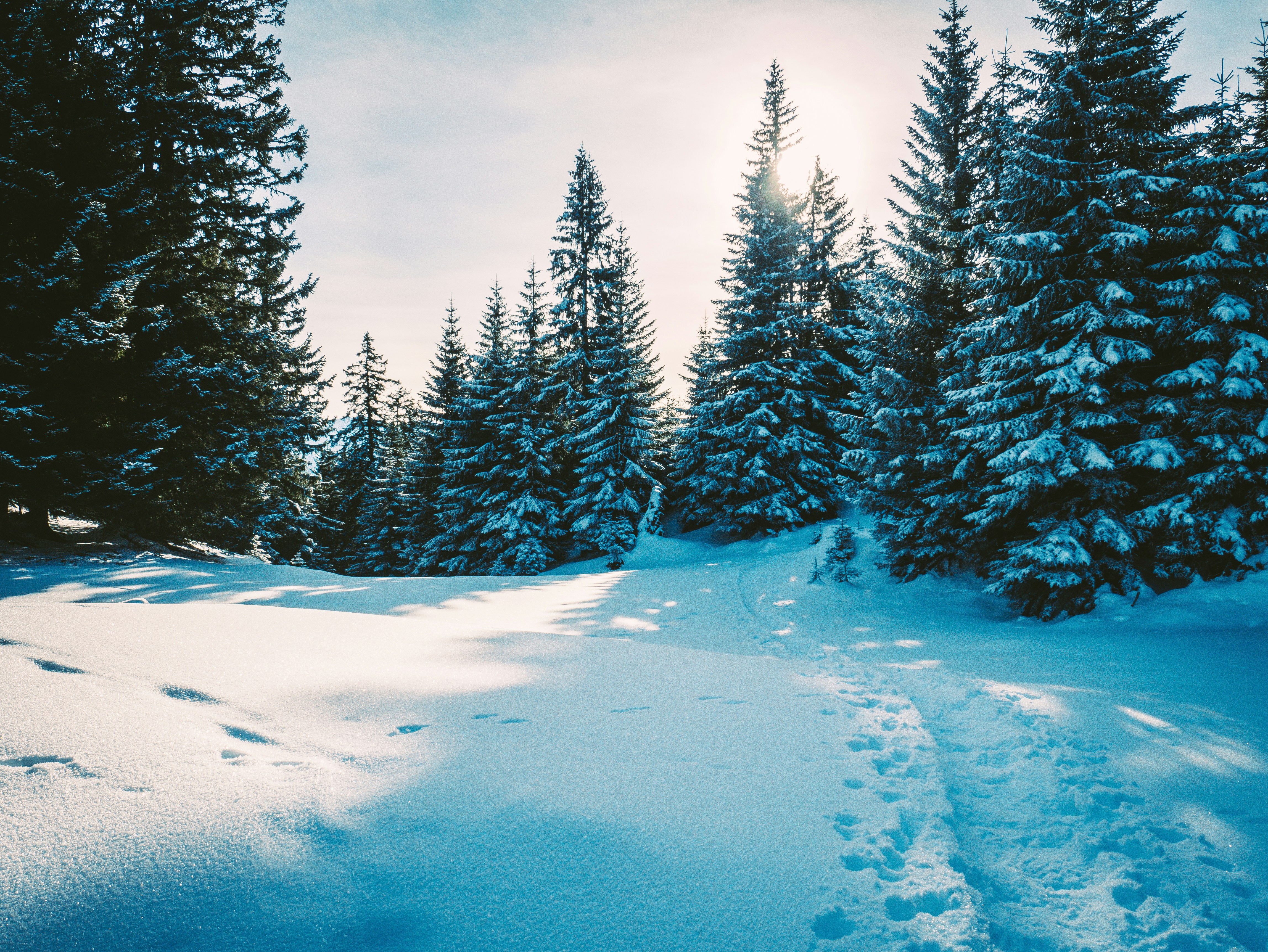 Photo by matthiasspeicher