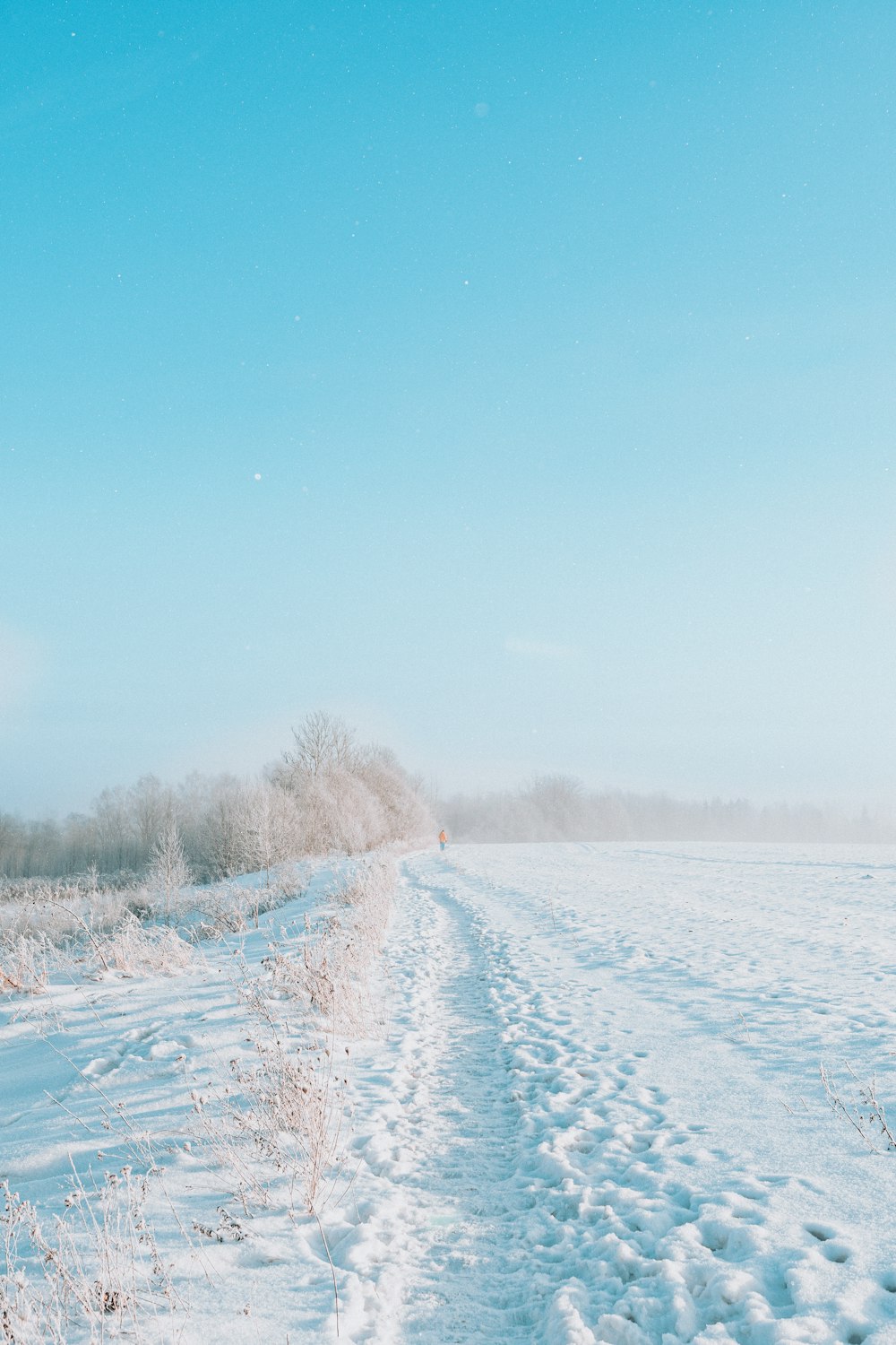 snow covered field under blue sky during daytime