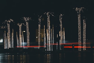 A cozy outdoor evening scene with softly glowing Christmas lights and palm trees decorated with wreaths and Santa hats.