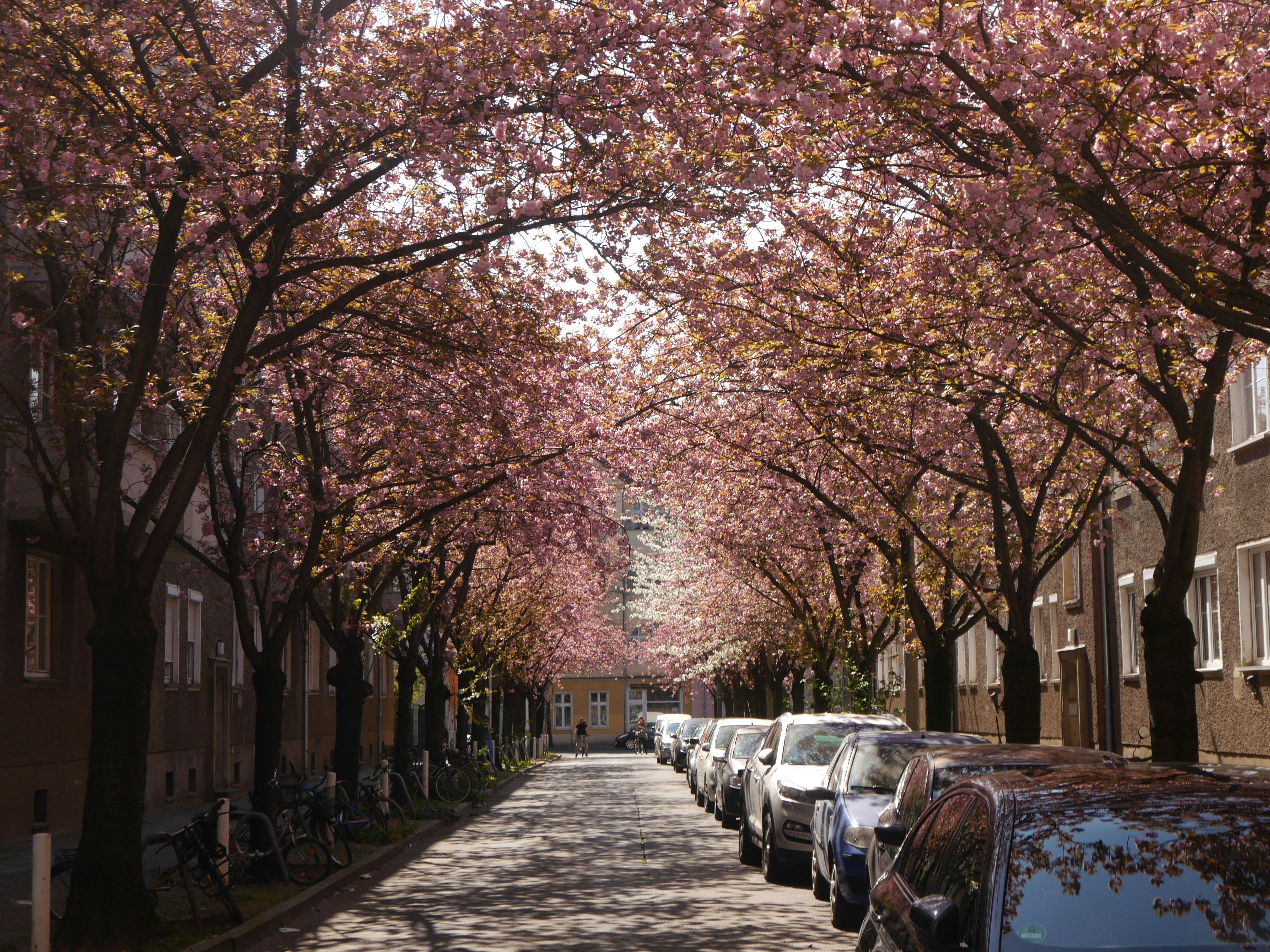 Photo by jonasfromberlin