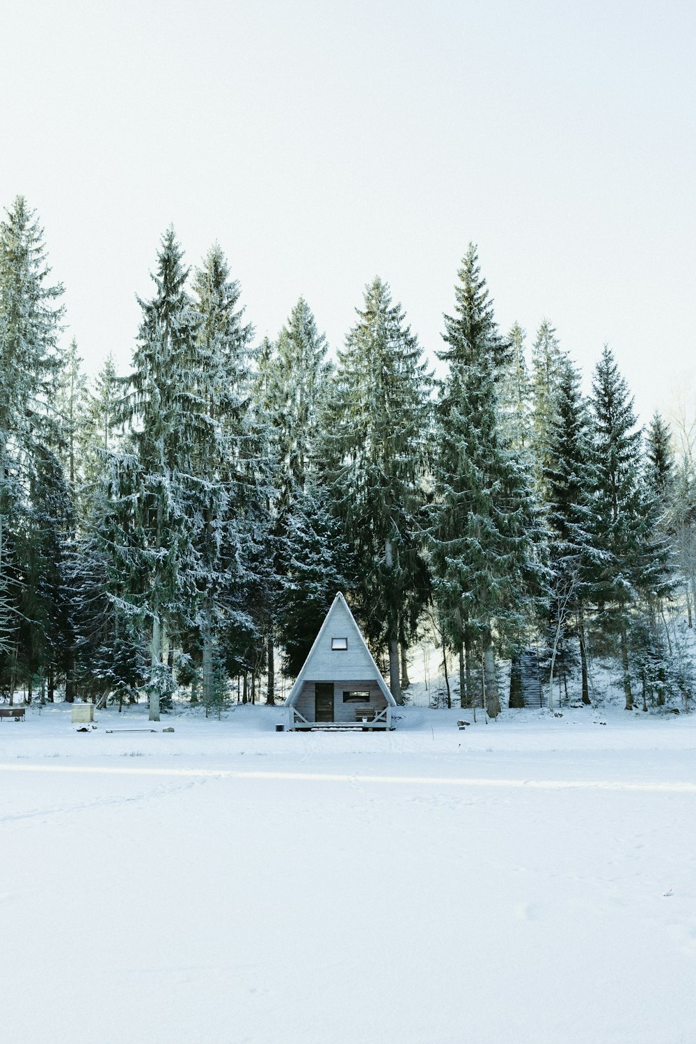 white and brown house surrounded by trees covered by snow during daytime