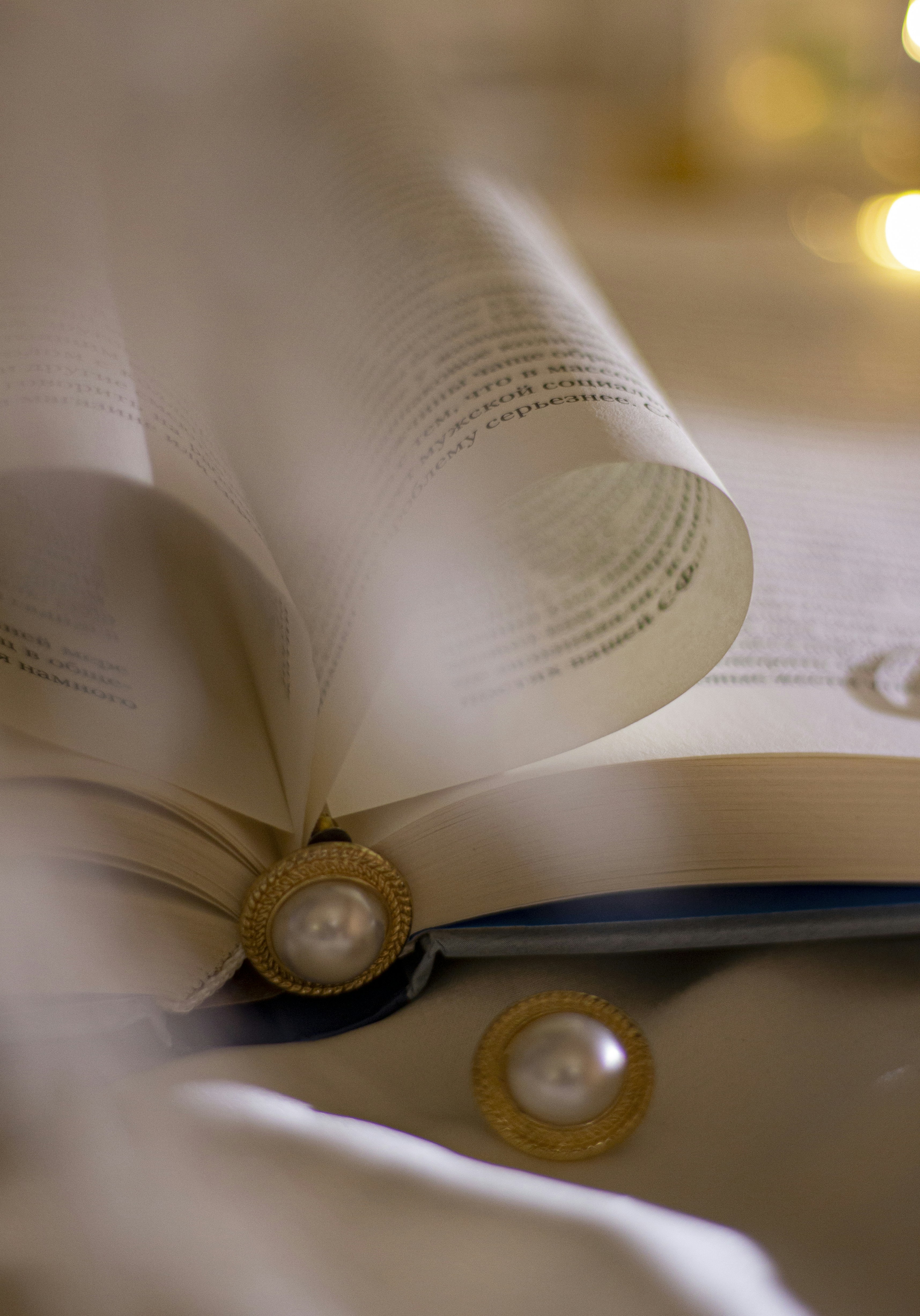 books with gold and blue linegings