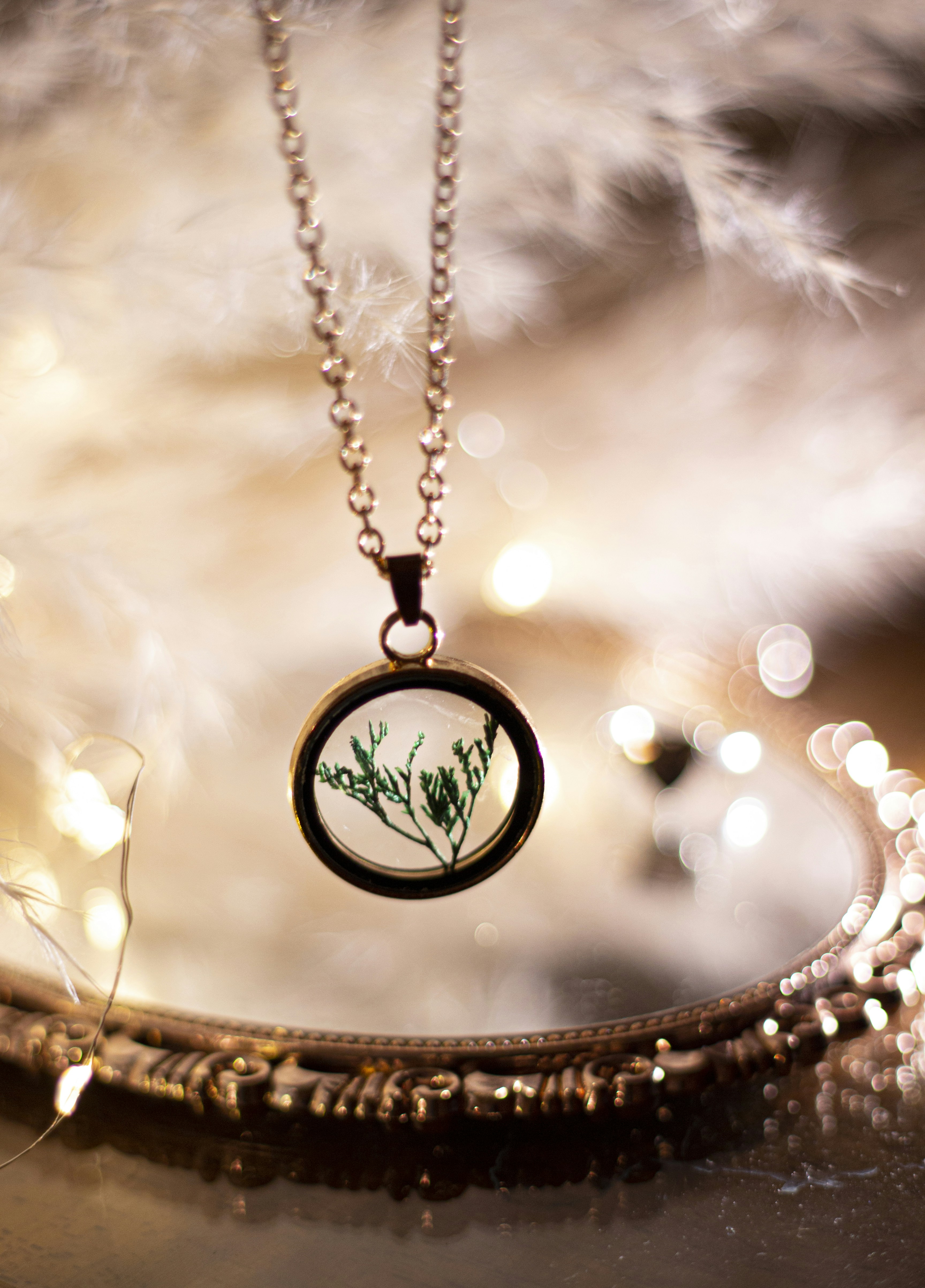 Photo by anastasia3385437