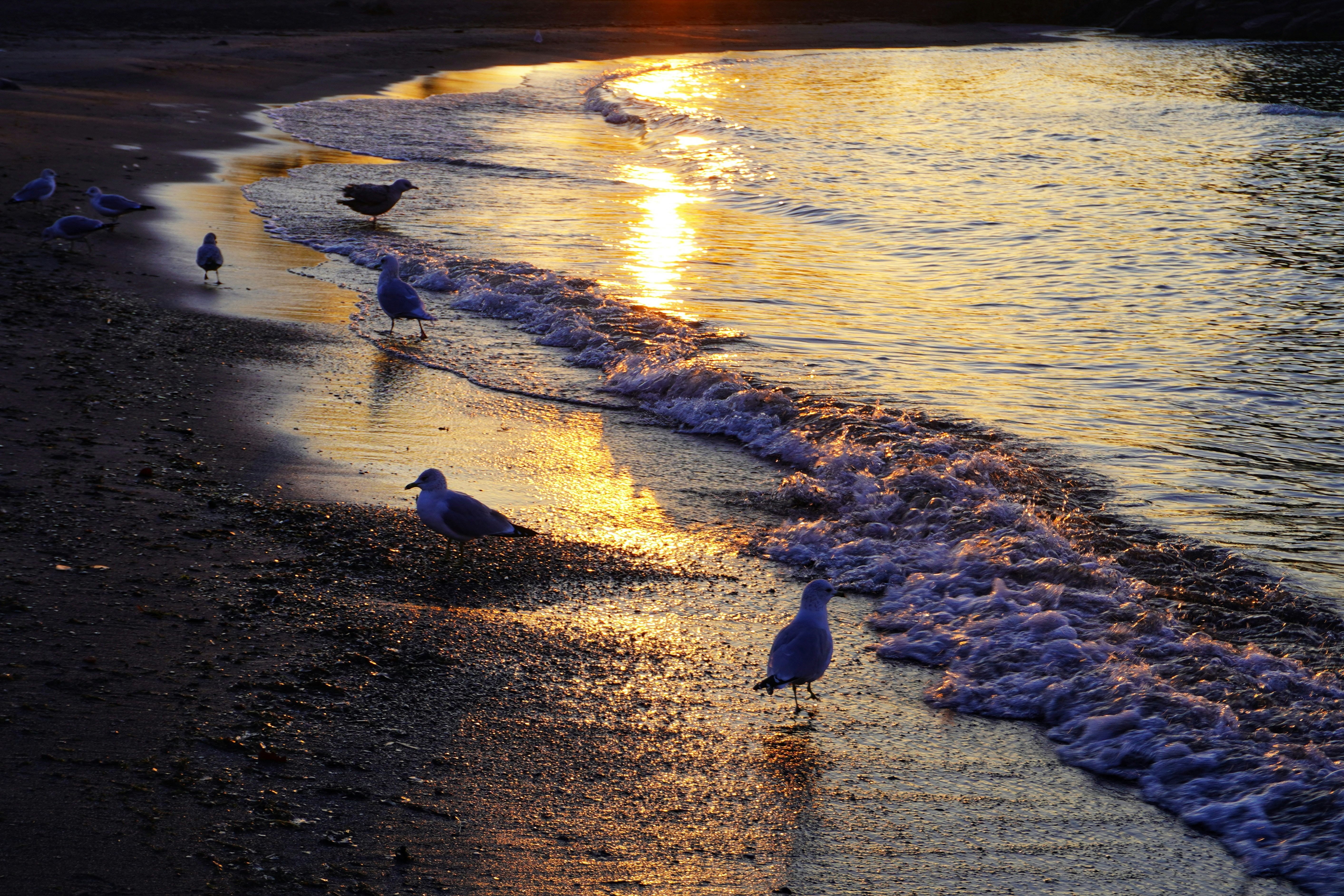 Photo by meri_vasilevski