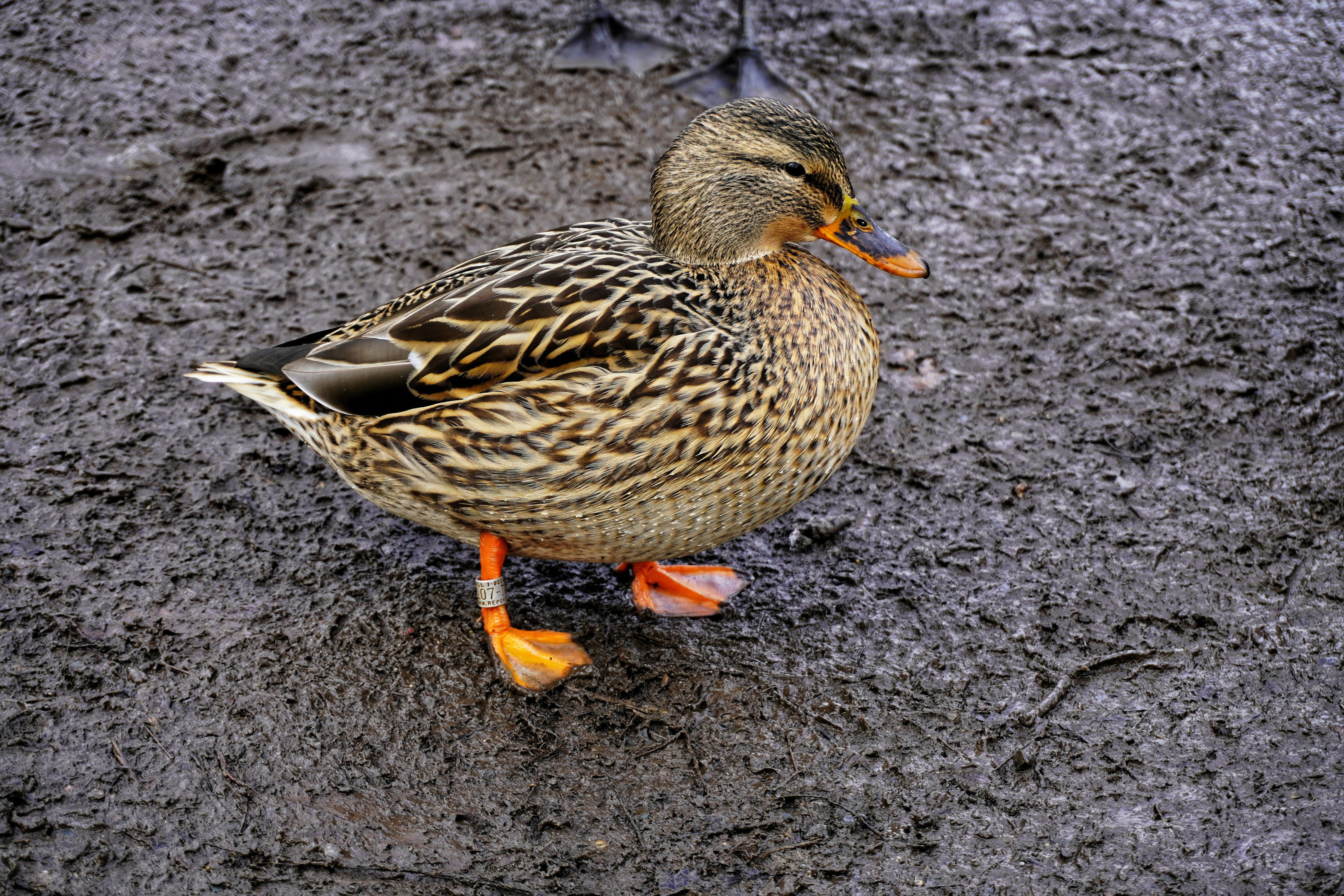 Photo by meri_vasilevski