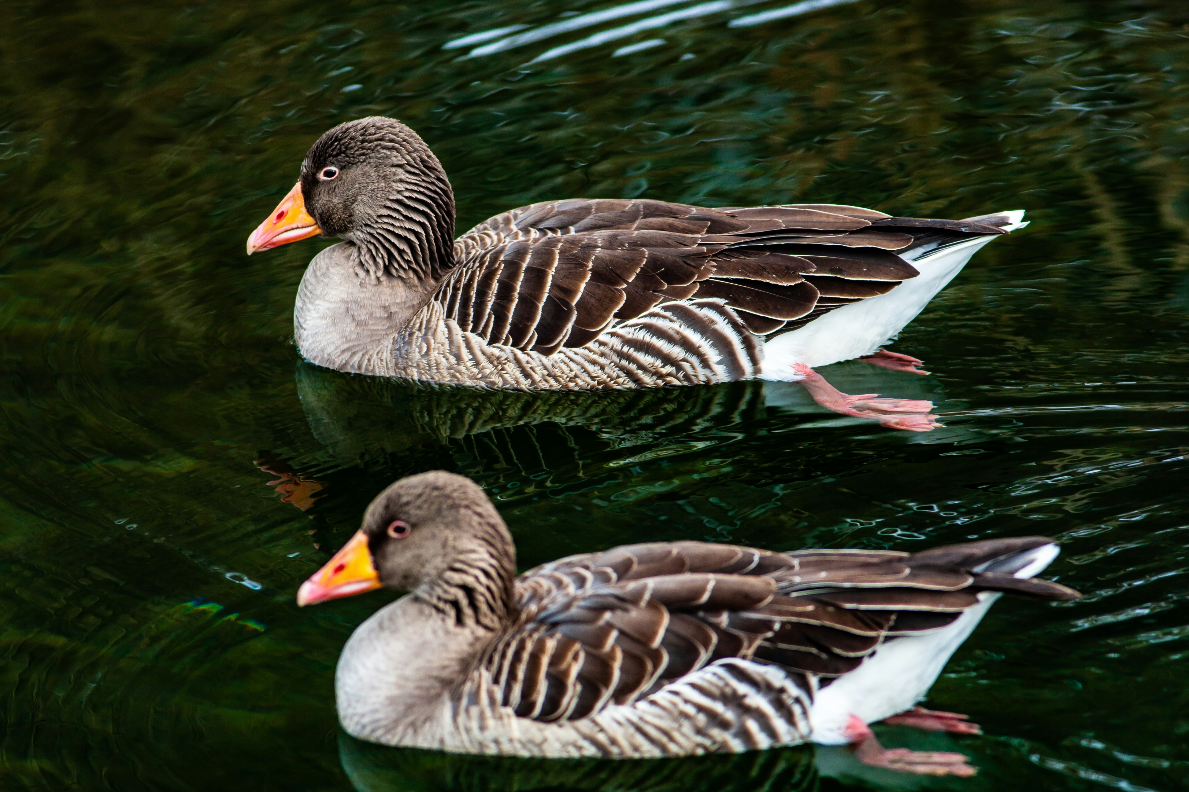 Photo by photoroutes