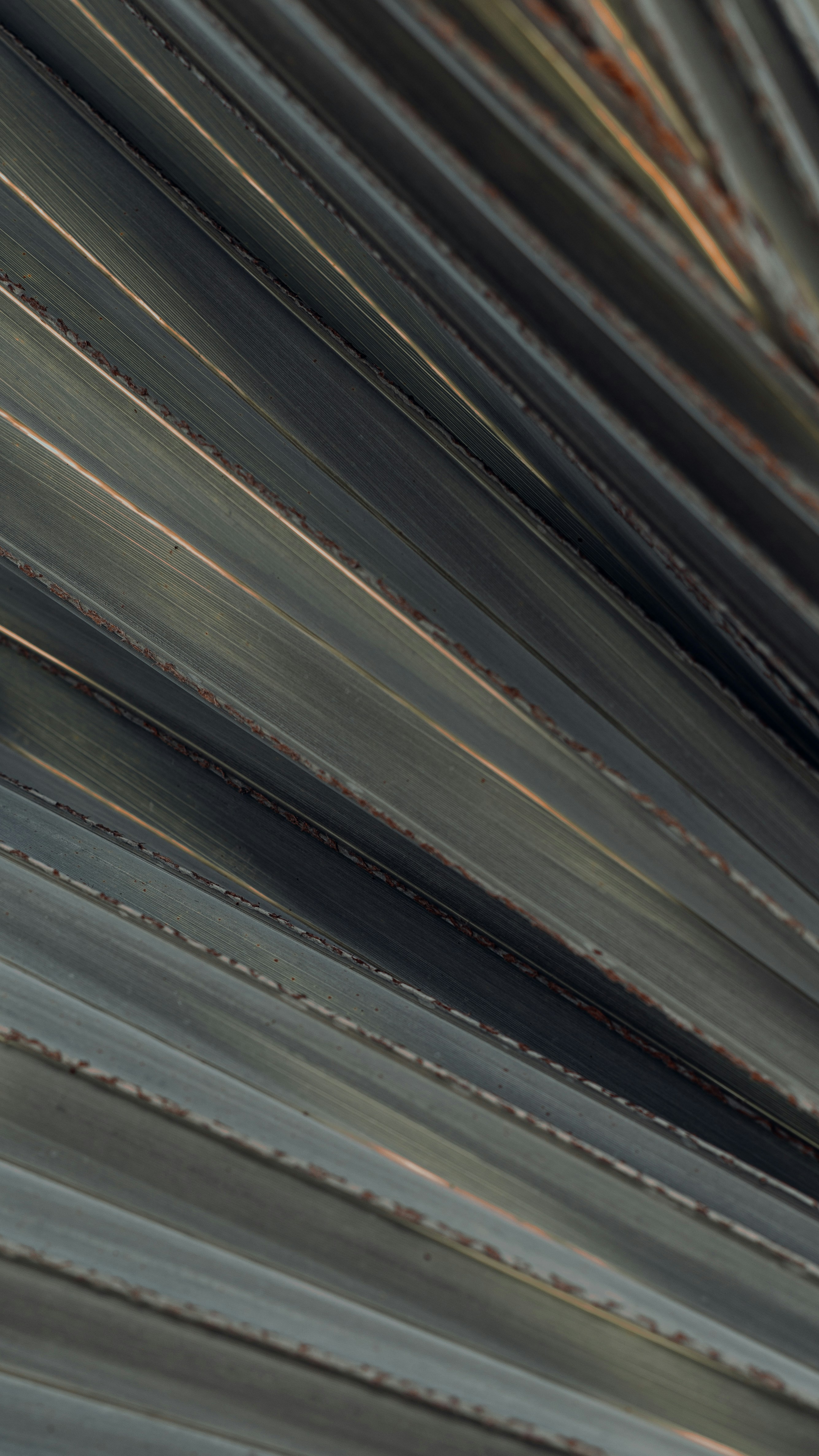 Photo by heleno_kaizer