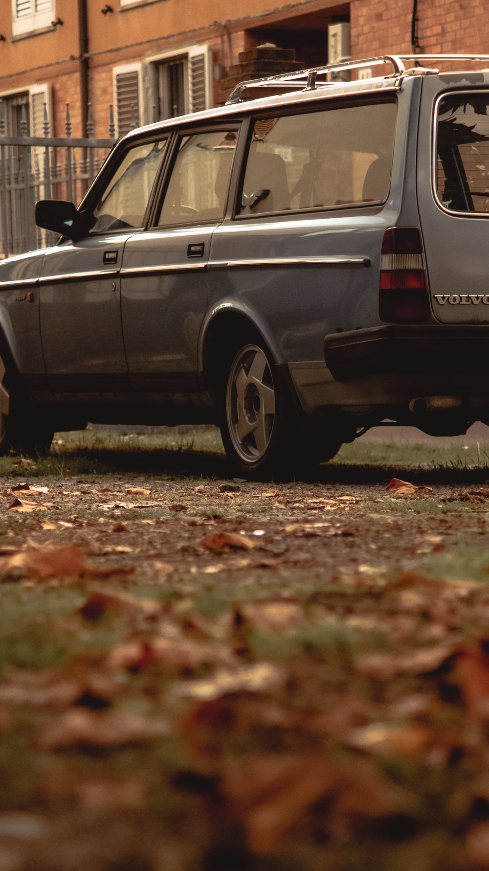 black station wagon on brown dried leaves