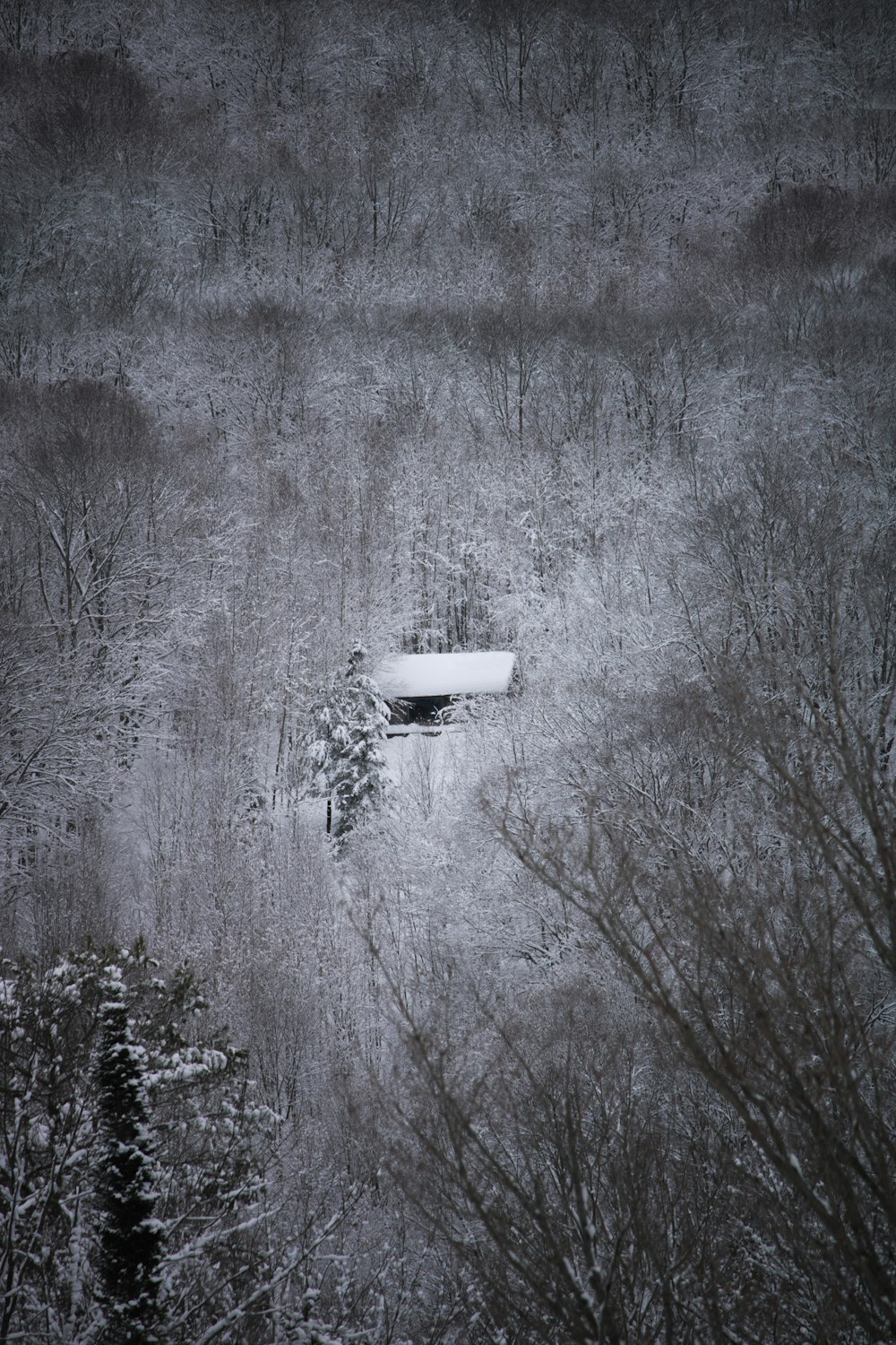 Avión blanco y negro en un terreno cubierto de nieve
