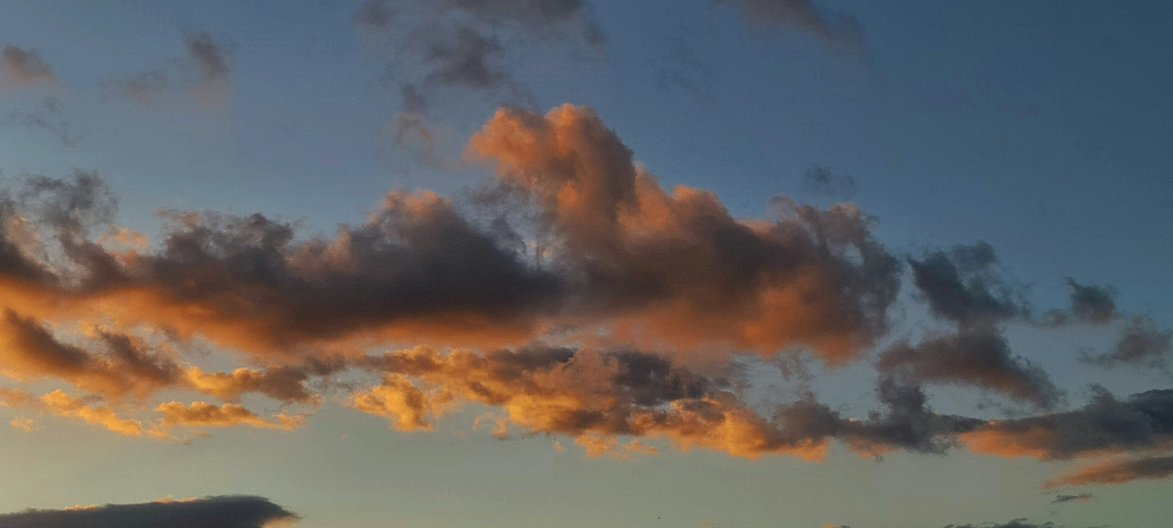 Photo by marcusdallcol