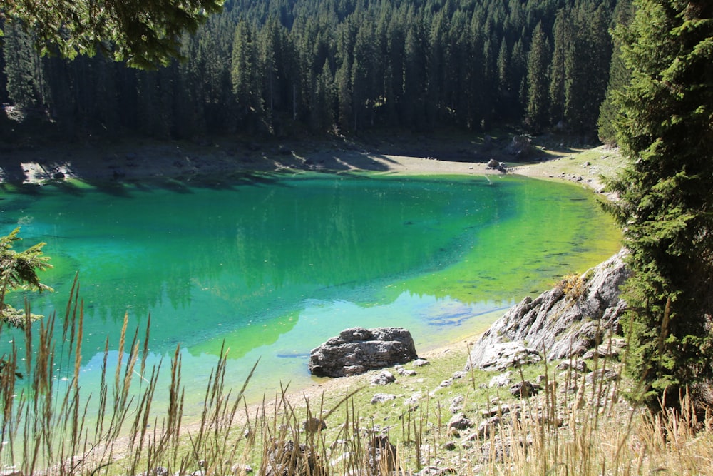 green lake surrounded by green trees during daytime