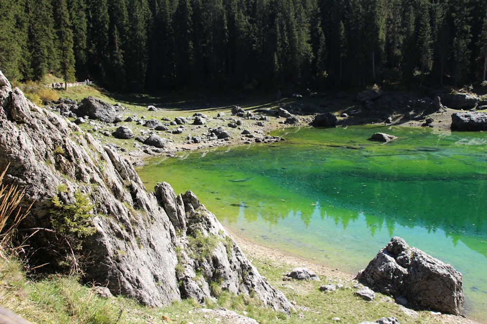 green lake surrounded by green trees during daytime