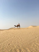 An adventurous camel trek winding through the vast Sahara desert under a clear blue sky.
