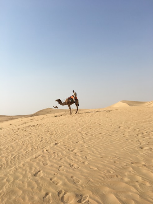 A close-up of a camel with a rider during a peaceful desert trek.