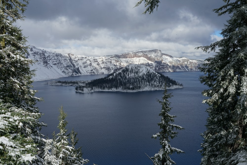 green trees near snow covered mountain during daytime