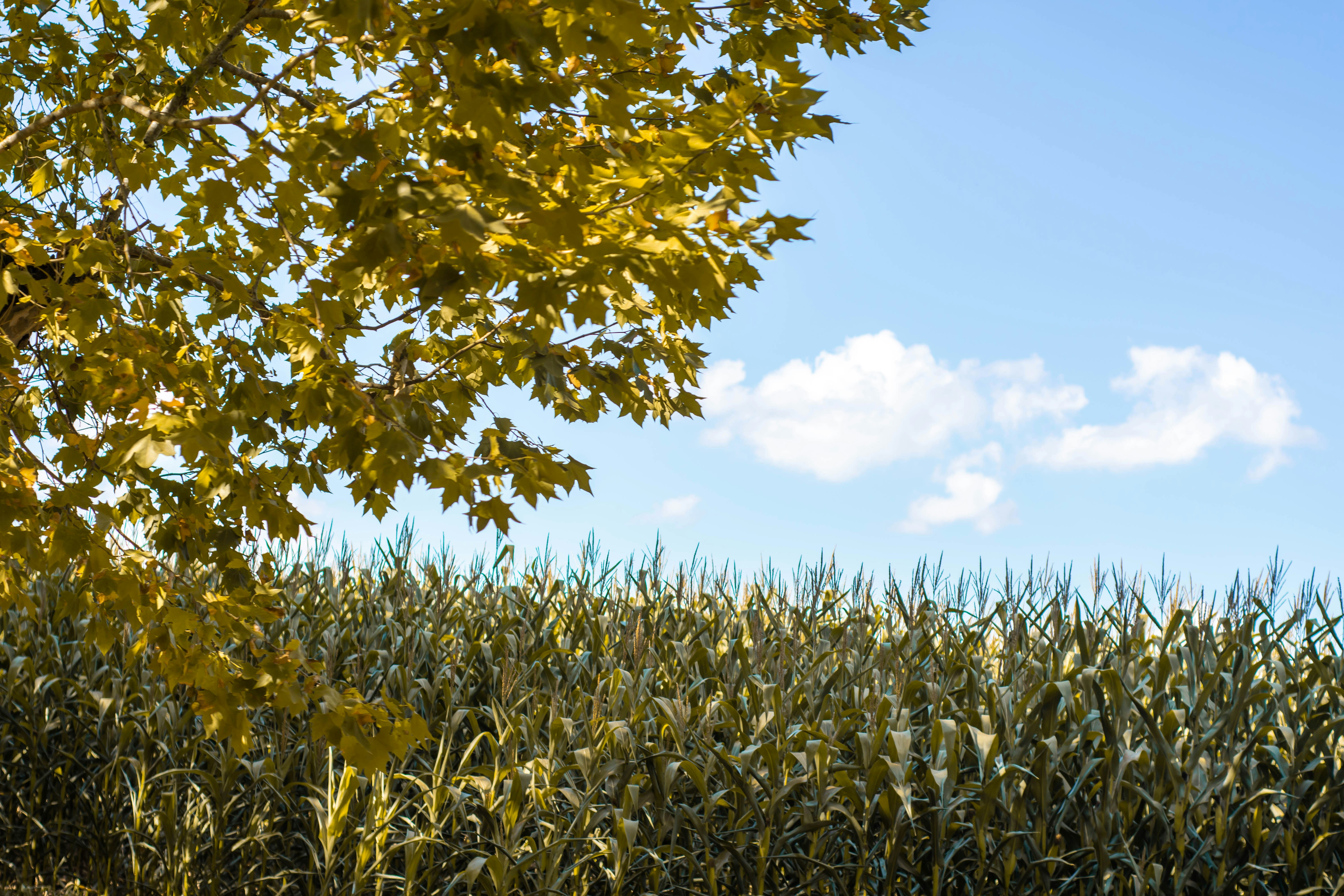 Photo by lucasgwendt