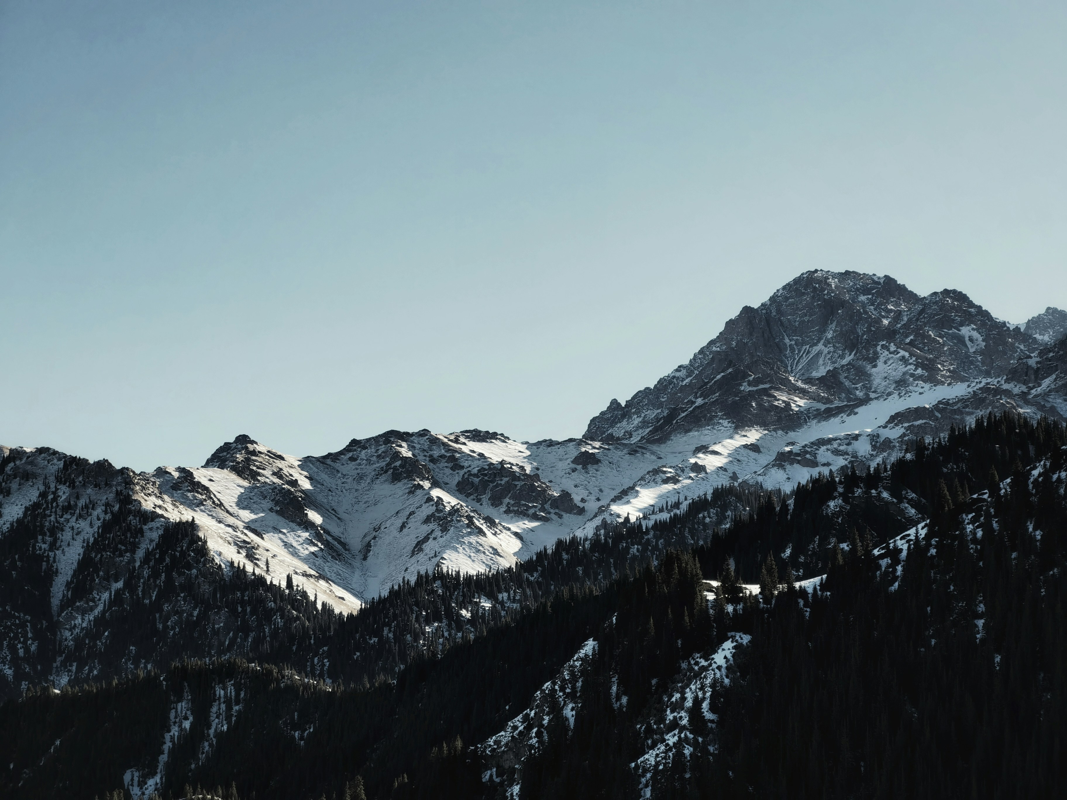 Photo by silverarrow