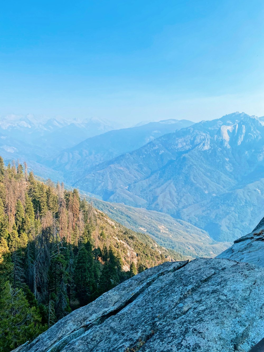 green and brown trees on mountain under blue sky during daytime