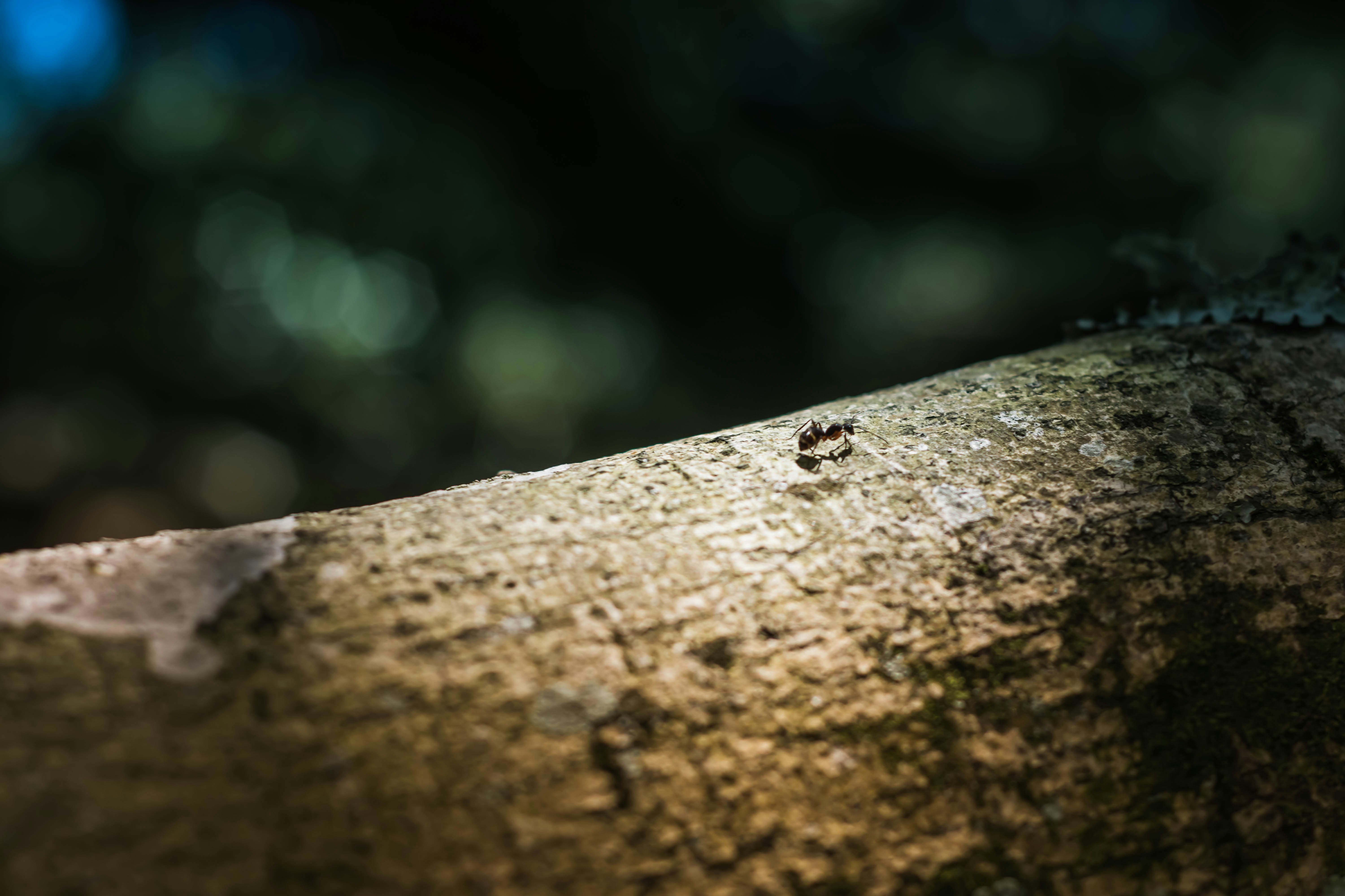 Photo by lucasgwendt