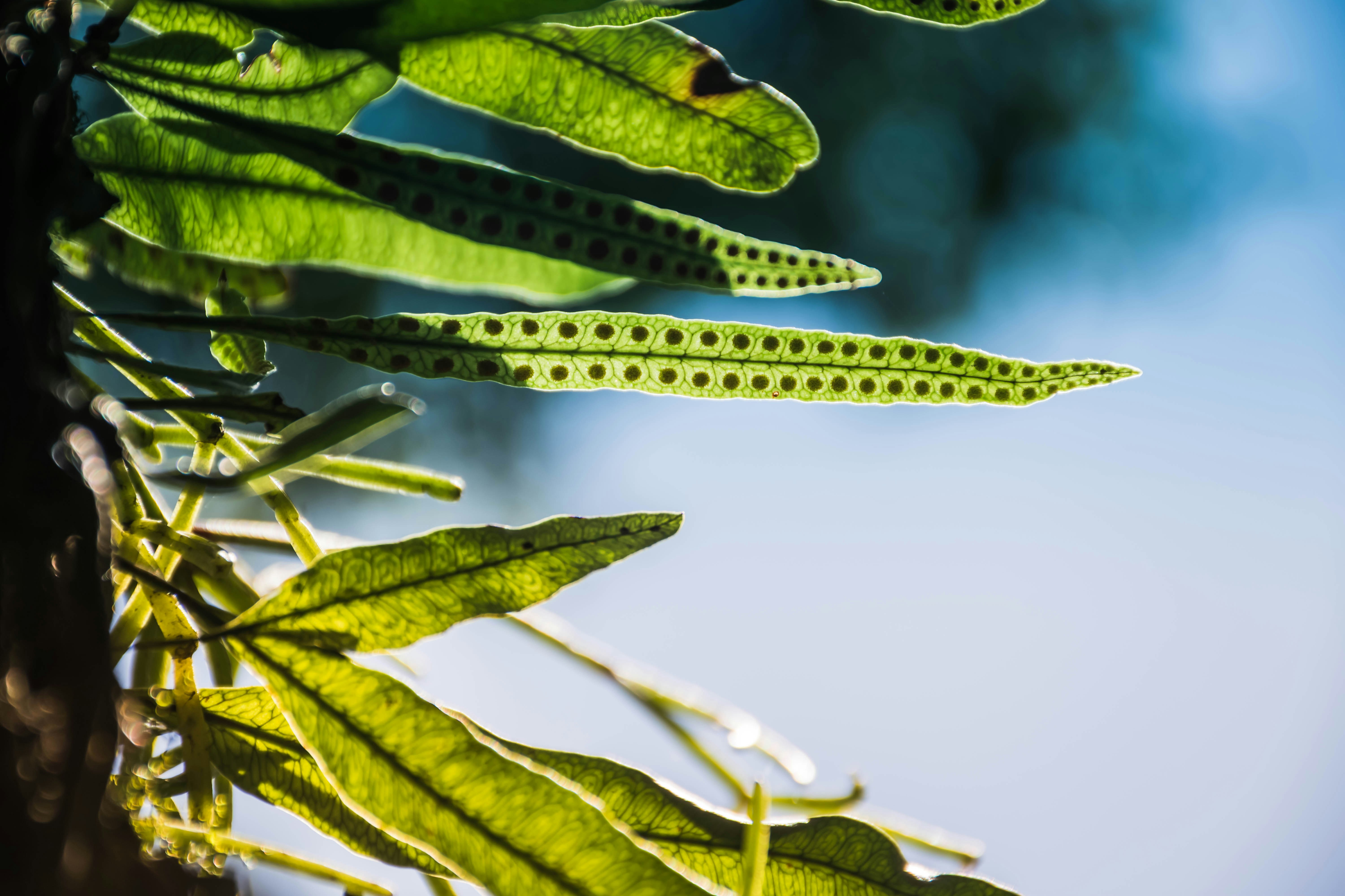 Photo by lucasgwendt