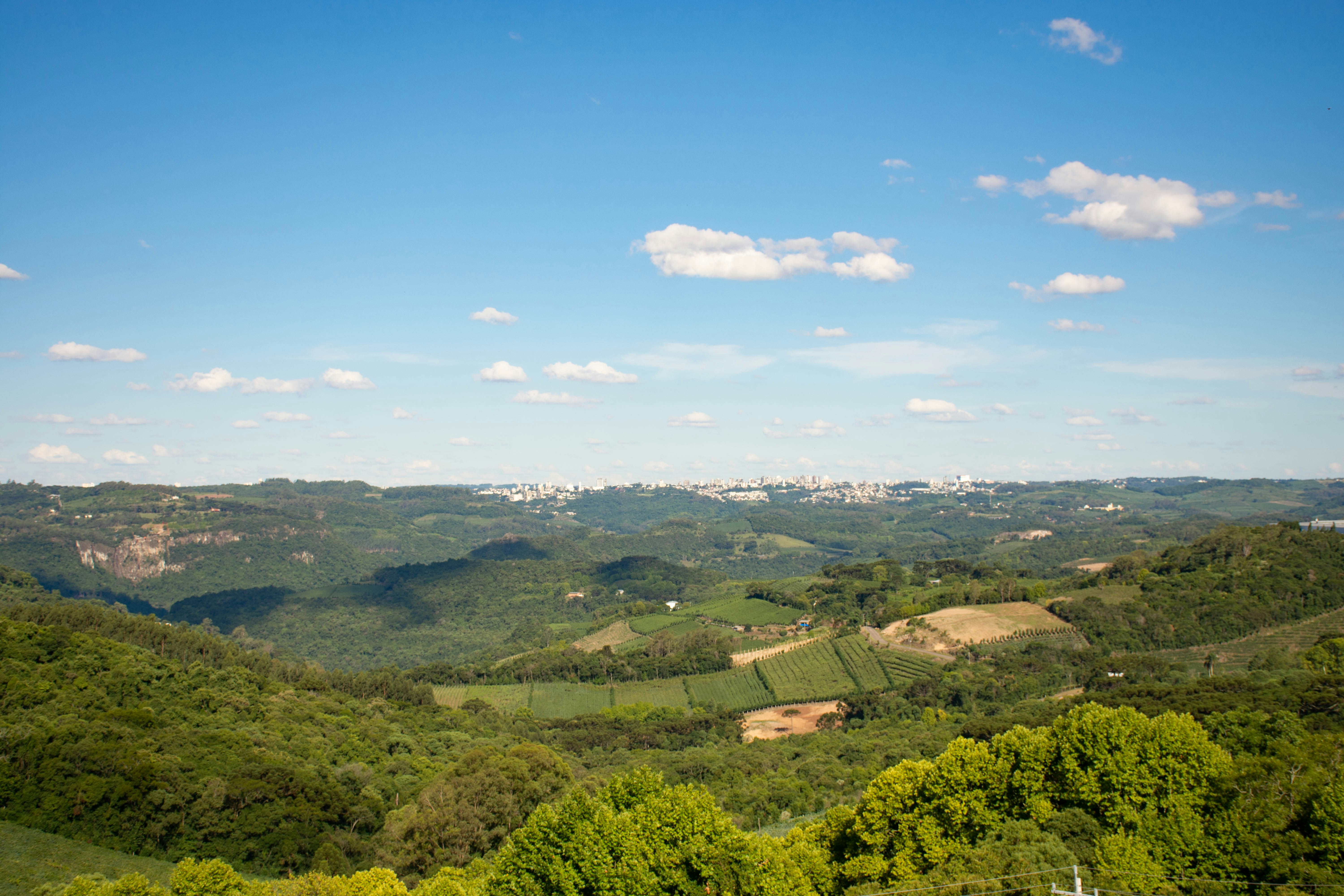 Photo by lucasgwendt