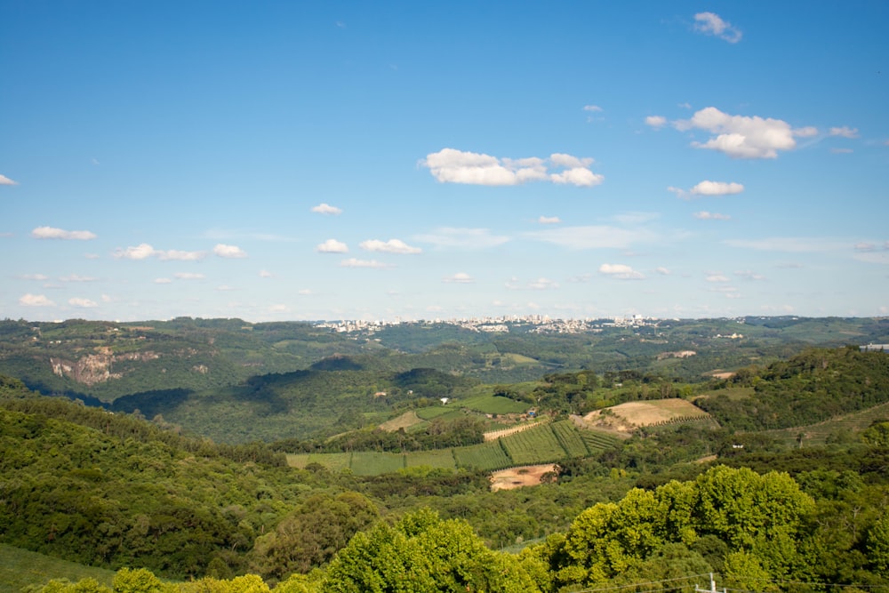 green trees and mountains under blue sky during daytime