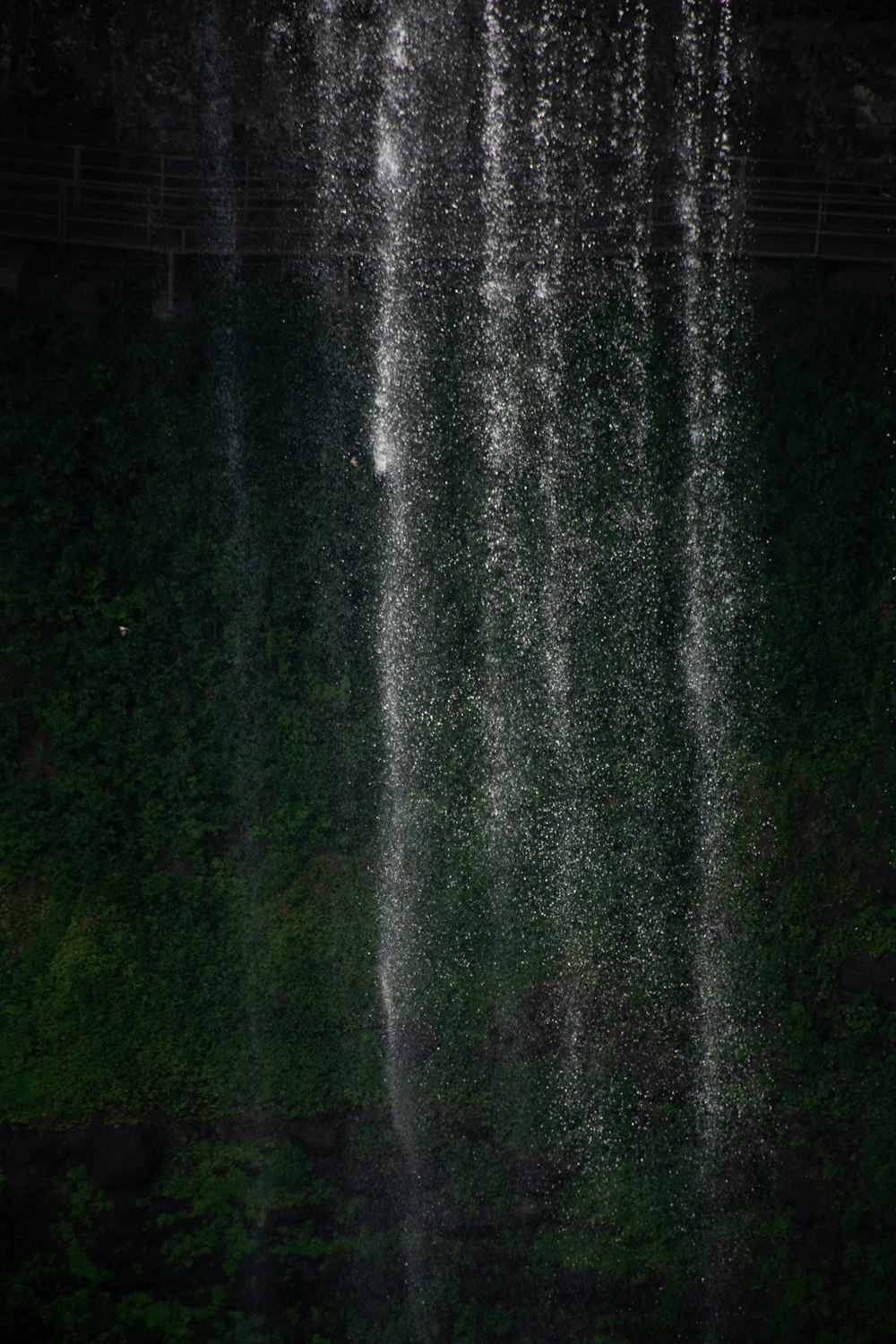 Campo de hierba verde durante la noche