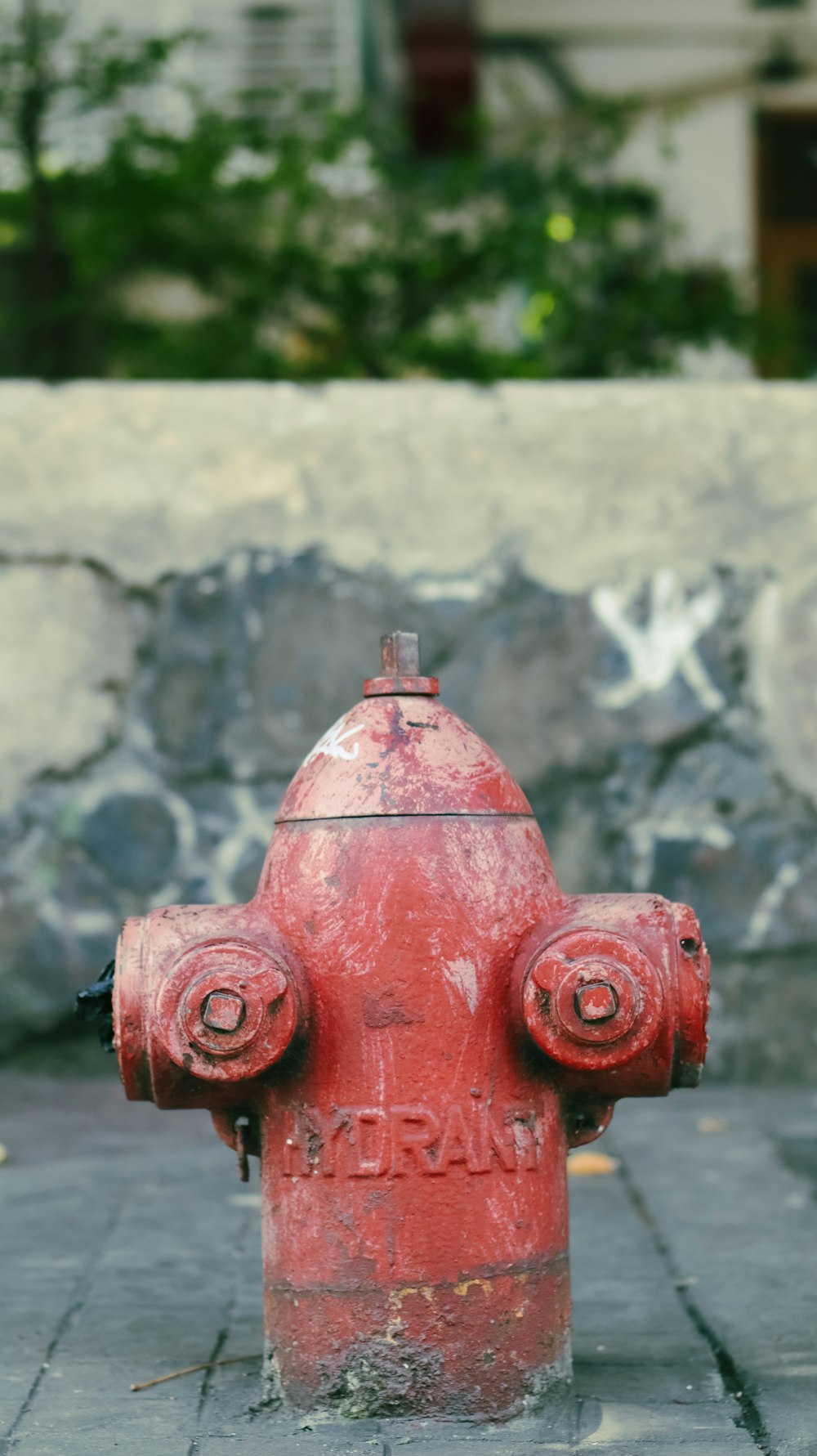 red fire hydrant on gray concrete wall