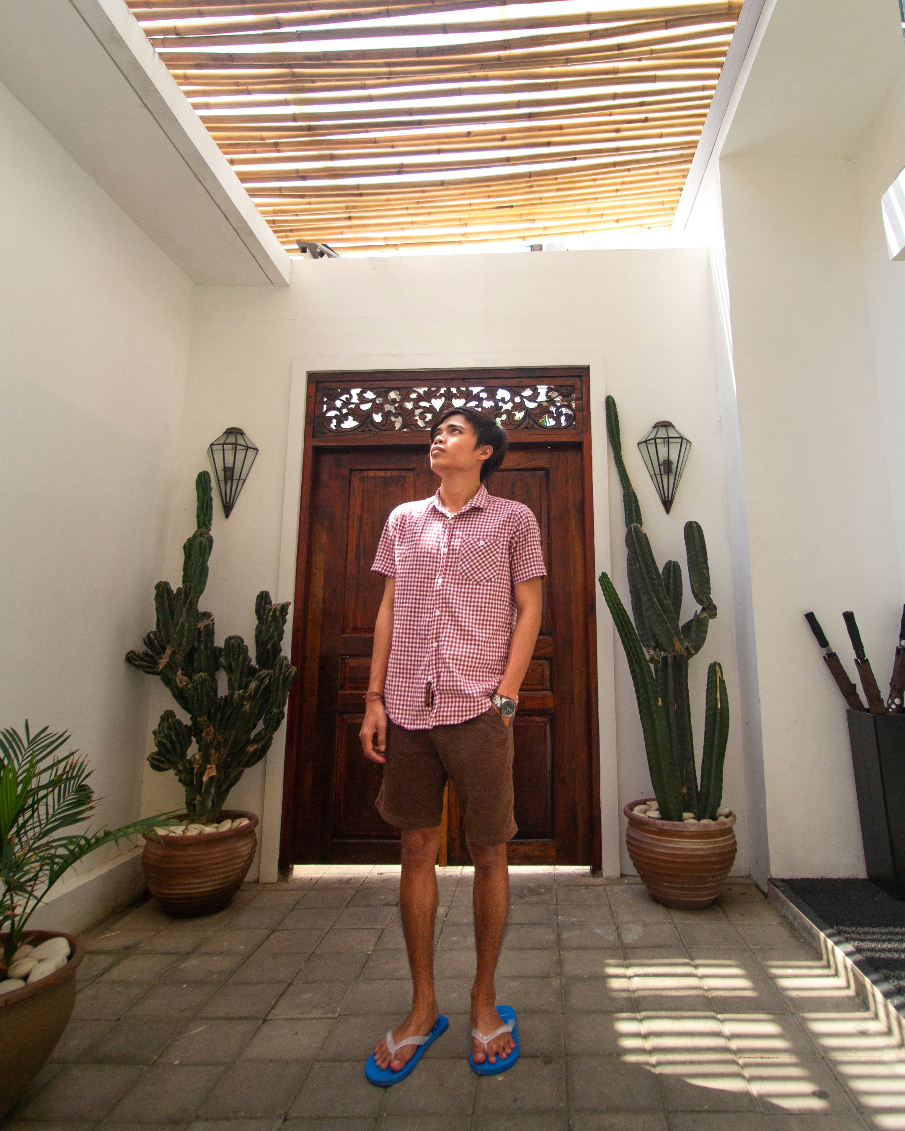 woman in pink and white stripe long sleeve shirt standing near green potted plant