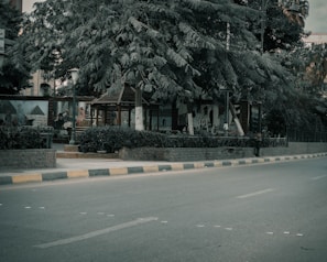 An empty street lined with trees and lamp posts, featuring a mural depicting Egyptian scenes on a wall behind some foliage. There is a structure with a wooden roof near the mural, and the street is bordered by a curbstone with alternating black and yellow paint.