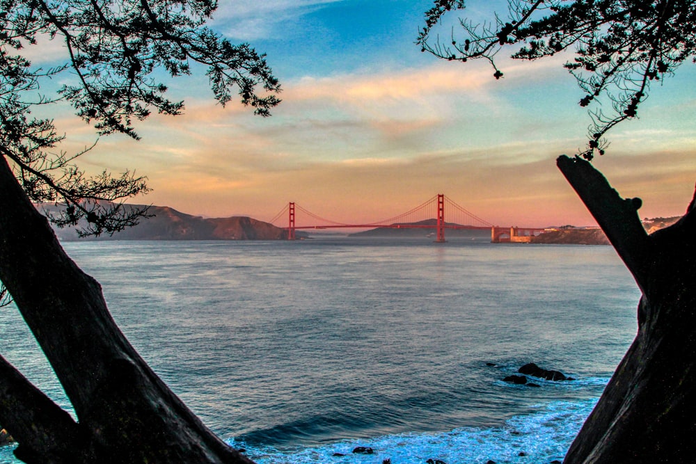 Puente Golden Gate bajo el cielo azul