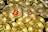 A large pile of shiny gold coins with the Bitcoin symbol embossed on them, with one coin featuring the symbol in red.