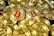 A large pile of shiny gold coins with the Bitcoin symbol embossed on them, with one coin featuring the symbol in red.