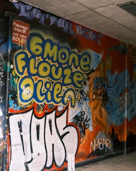 A vibrant urban mural featuring graffiti with large, bold text in yellow and blue. The wall is covered with various tags, images, and artistic details. A 'Passage Interdit' sign is visible in the upper left corner, surrounded by more graffiti in different colors. The artwork includes layers of graffiti overlapping each other, creating a busy and colorful street art scene.