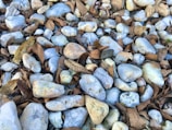 A collection of smooth, rounded stones scattered across the ground, interspersed with dried brown leaves. The stones vary in color from white to light gray, with some having tan or light yellow hues. The dried leaves create a contrast with the stones, giving a natural and rustic appearance.