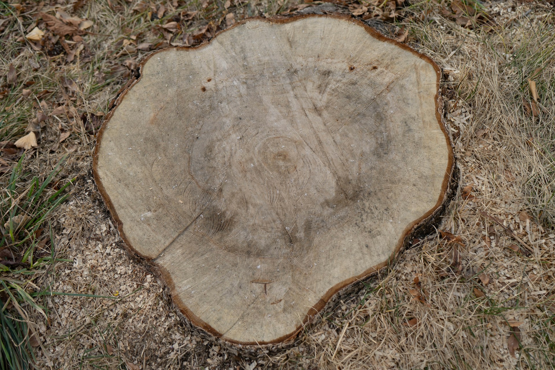 brown wooden round ornament on ground